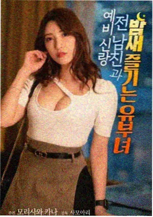 纪录电影候鸟航线画面